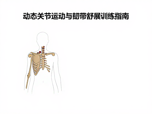 肩胛控制不足?动态关节活动与韧带舒展训练指南