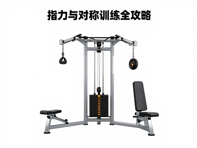 居家训练器械怎么选?指力与对称训练布局全攻略