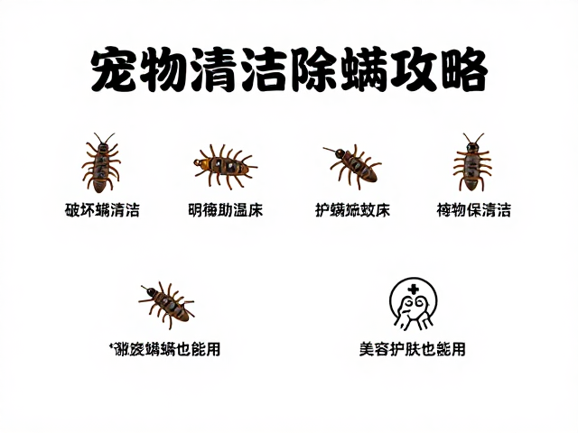 科学洗护：安全有效的体表清洁方案