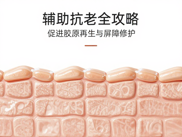 促进胶原再生与屏障修护