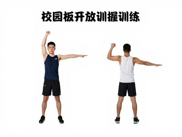 上肢提拉与开放手抓握训练,校园板康复训练指南