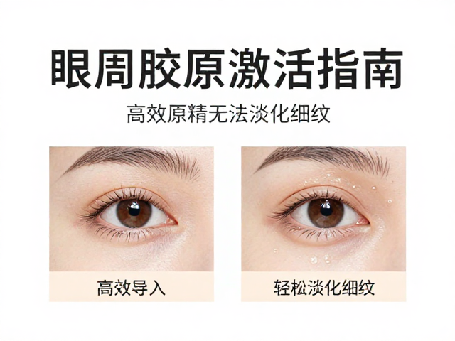 标准化操作与长期维护策略
