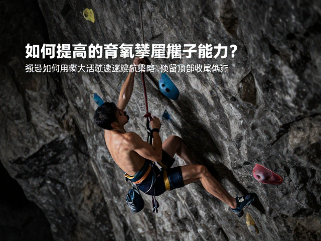 如何提高有氧攀爬能力?利用匀速续航策略预留顶部收尾体力
