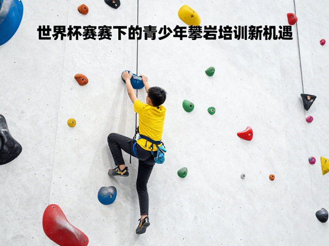 奥运攀岩规范化，世界杯赛事下的青少年攀岩培训新机遇
