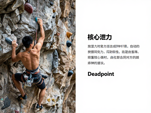 攀岩术语解析,瞬间发力、核心泄力与Deadpoint技巧