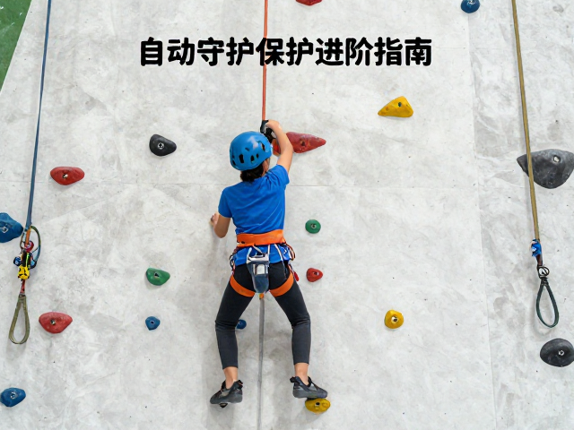 青少年竞技攀岩训练,儿童体能与自动保护攀岩的安全进阶指南