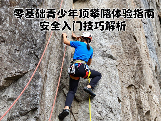 零基础青少年顶绳攀爬体验指南,安全入门与技巧解析