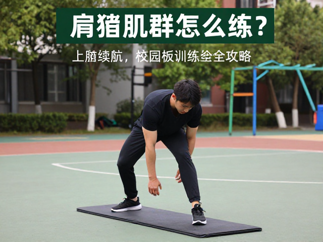 肩袖肌群怎么练?上肢续航,校园板训练全攻略