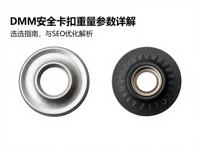 DMM安全卡扣重量参数详解，选型指南与SEO优化解析