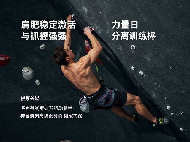 肩胛稳定激活与抓握强化，力量日与攀爬日分离训练指南