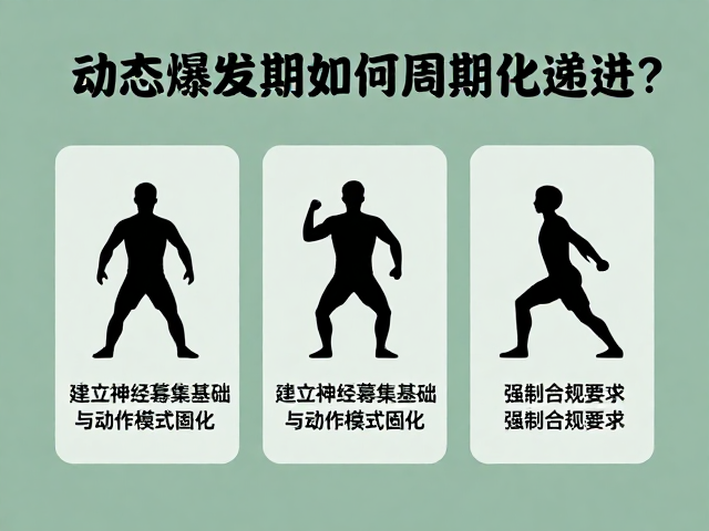 动态爆发期如何周期化递进？3步掌握核心动作