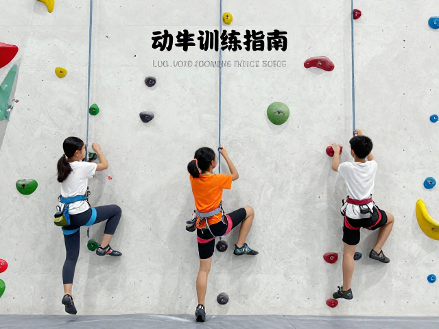 青少年攀岩赛事备战,学生竞技攀基础动作训练指南