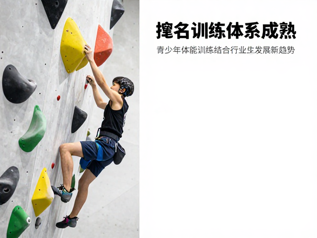 抱石训练体系成熟,青少年体能训练结合行业发展新趋势