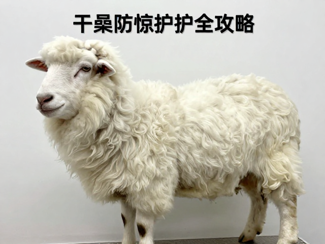 应激反应识别与安抚护理