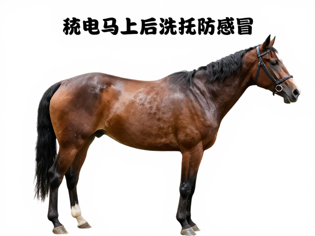 洗后及时擦干防感冒的科学依据