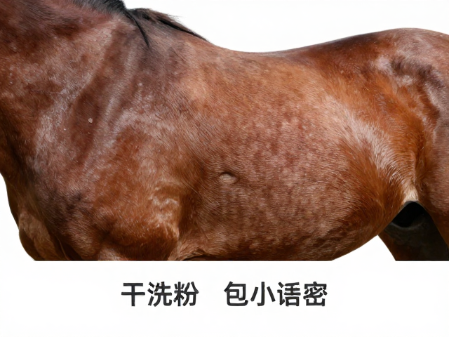干洗粉在修剪护理中的常见误区与正确用法