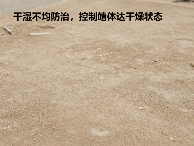 干湿不均防治,控制收缩变形,确保坯体达干燥状态