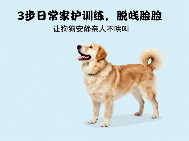 脱敏训练与替代行为的场景化植入
