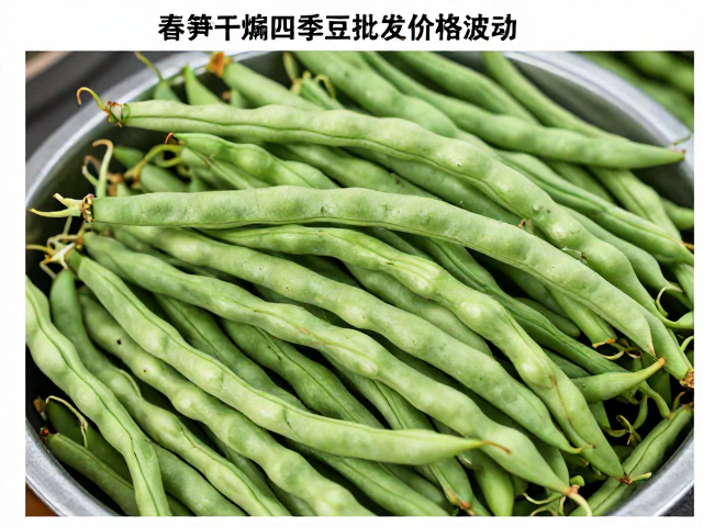 四季豆批发行情与季节性差异