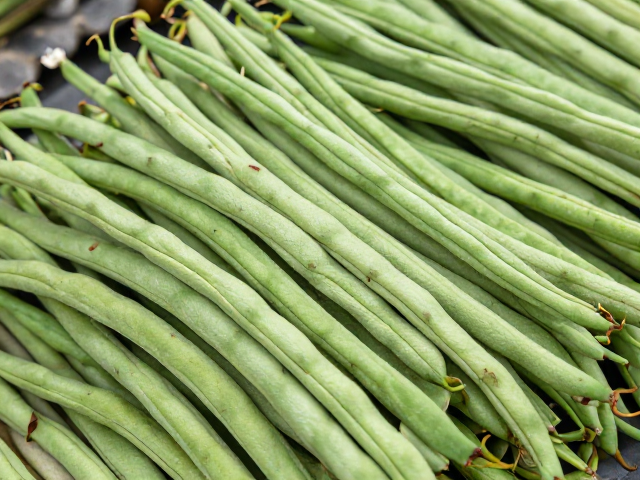 春笋干煸四季豆批发价格波动，2024最新行情走势与采购策略分析