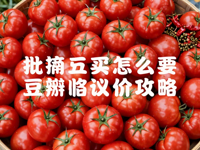 品质分级与验收标准