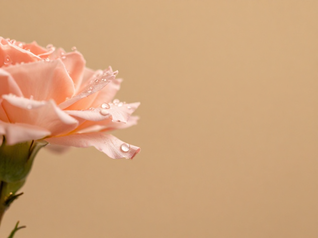后期处理与色彩科学