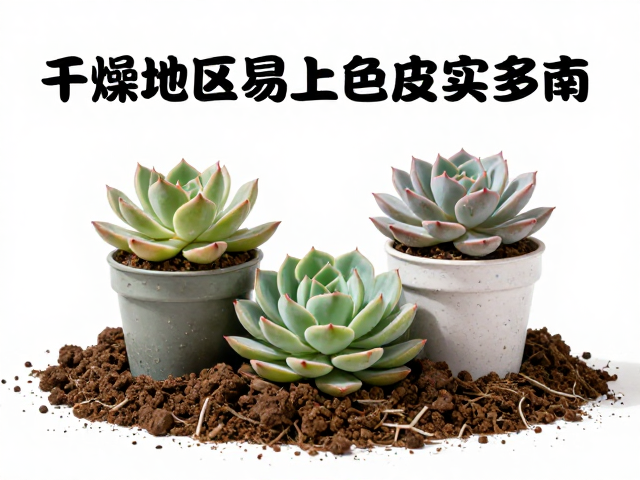 配土后的养护与调整