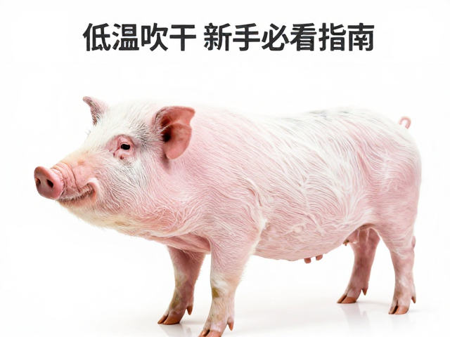低温吹干的关键操作细节