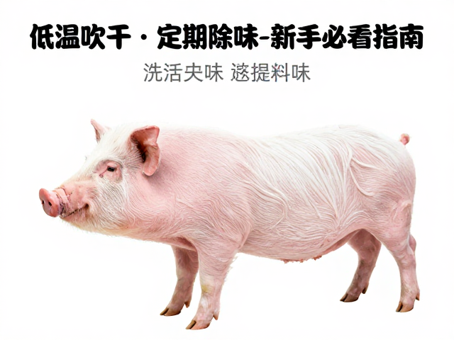 定期除味的科学方法