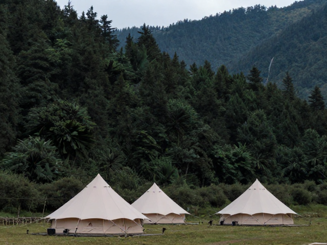 典型高海拔森林山地营地实地解析