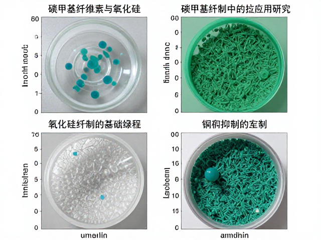 羧甲基纤维素与氧化硅在铜绿抑制中的应用研究