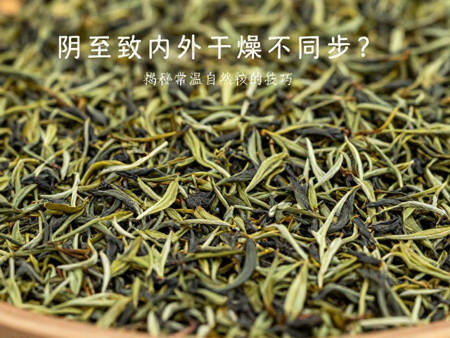茶叶阴干致内外干燥不同步？揭秘常温自然干燥的核心技巧