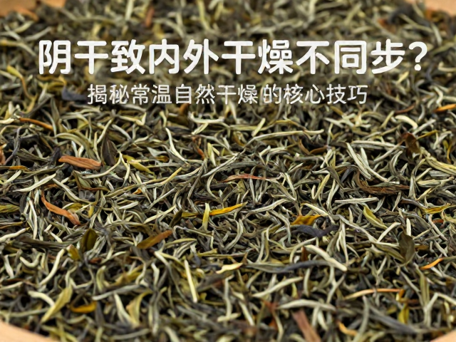 茶叶阴干致内外干燥不同步？揭秘常温自然干燥的核心技巧