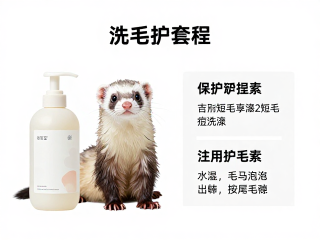 基础洗护流程中的水温与动作规范