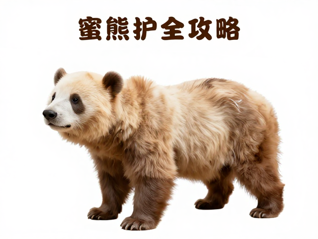 理解蜜熊生理特性与洗护前的核心准备