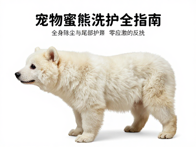 零应激反应的行为管理与心理安抚