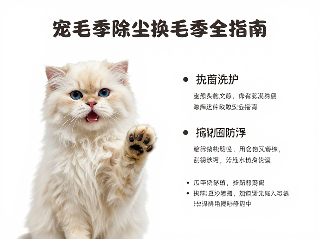 换毛季除尘：科学梳理与皮肤护理