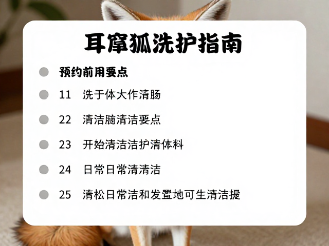 家庭日常清洁与护理技巧