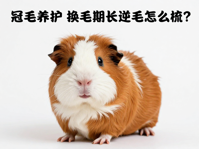 洗澡与清洁过程中的护理要点