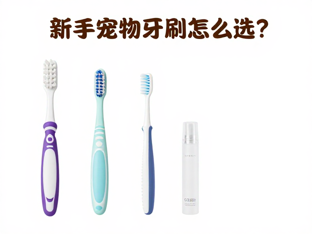 工具认知与辅助清洁品的搭配