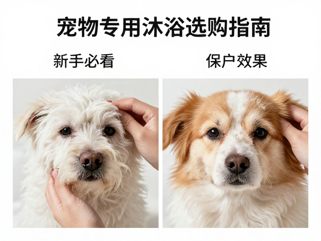 观察使用后的即时反应与长期效果