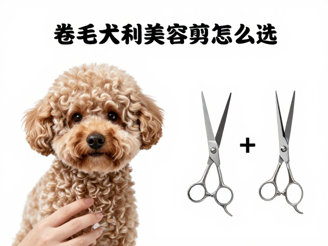 卷毛犬美容剪刀的核心类型与功能区分
