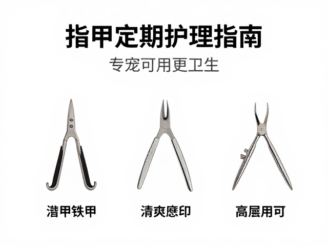 指甲护理的科学基础与卫生风险