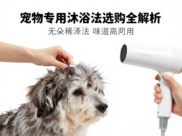 操作细节与毛发护理:分层干燥与梳理技巧