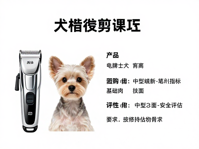 电推剪性能指标与安全性评估要素