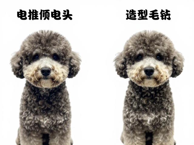 犬种特征匹配：从粗硬到卷曲的修剪逻辑