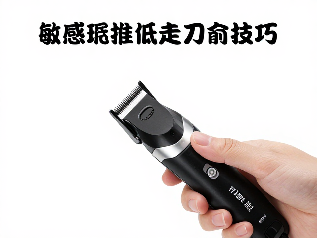 安全指南与风险防范机制