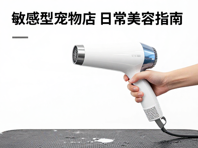 环境布置与脱敏护理流程