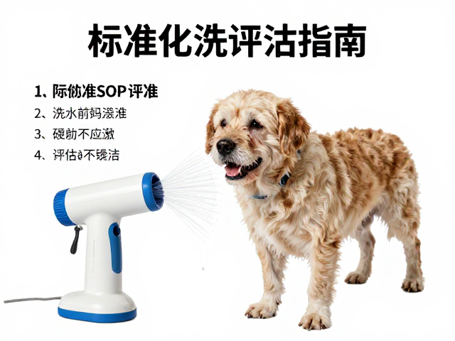 老年犬生理特征与吹水前评估标准