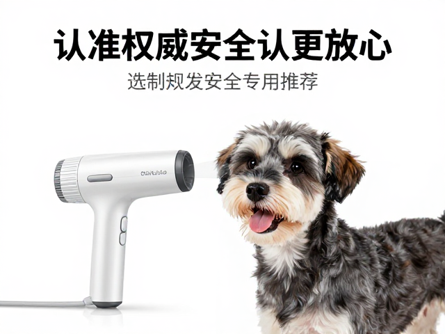 吹水机核心原理与短毛犬生理特点匹配